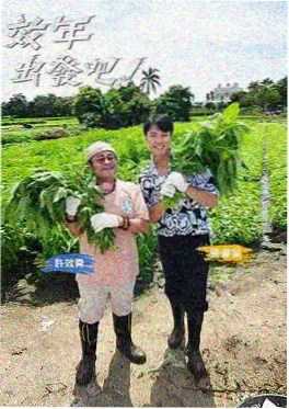 综艺封面